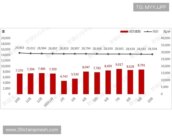 广州极限运动队节奏对比深度解析与发展趋势探讨 广州极限运动队节奏对比深度解析与发展趋势探讨