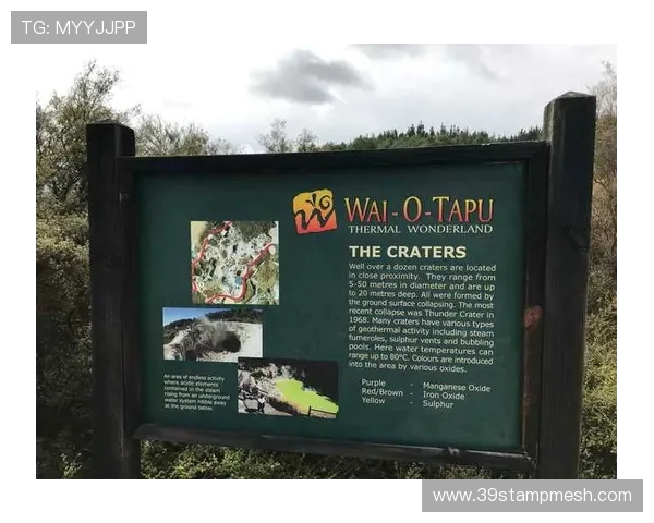 武汉极限运动队快攻策略分析与比赛表现评估