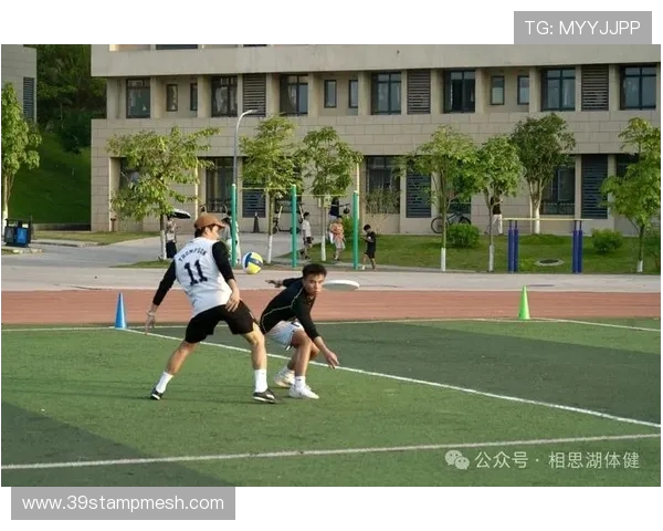 武汉飞盘队战术解析与实战经验分享助力团队提升竞技水平