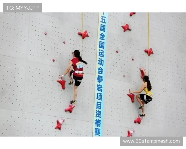 深圳攀岩队与上海攀岩队赛后战术分析与总结探讨