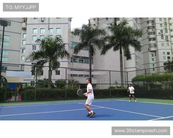 深圳网球队如何通过团队协作变革提升竞技水平与凝聚力的探索与实践