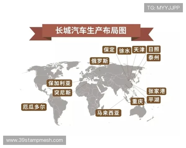 重庆排球队的转型之路与未来发展展望解析