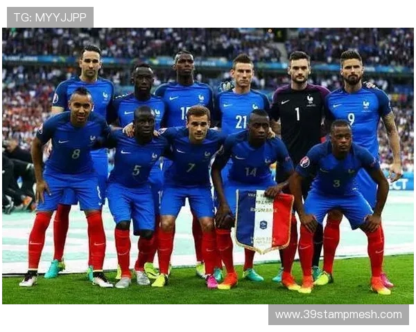 如何购买法国对冰岛比赛的门票及相关信息指南