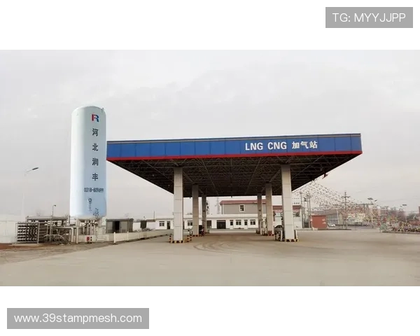 独家解析LNG行业团队协作模式的异同与发展趋势 独家解析LNG行业团队协作模式的异同与发展趋势