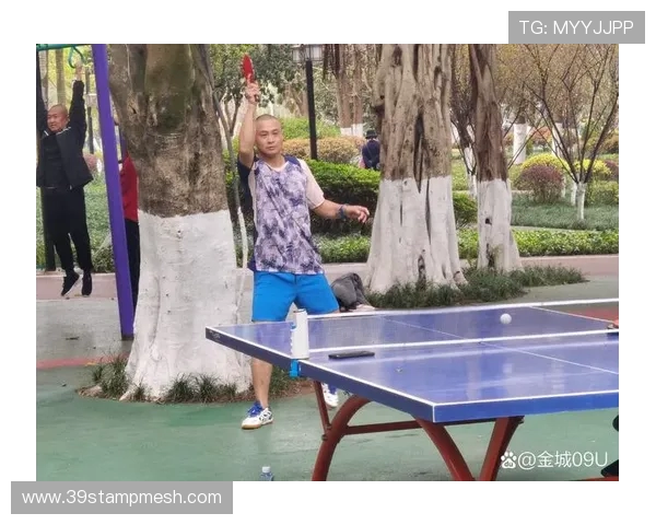 重庆乒乓球队实力解析：从训练到比赛的全方位探讨与展望