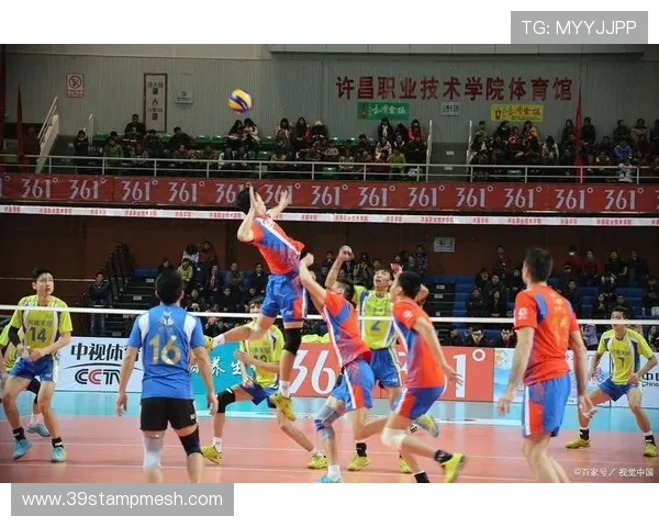 广州排球队的默契配合与战术解析探索排球竞技的团队精神与协作之美