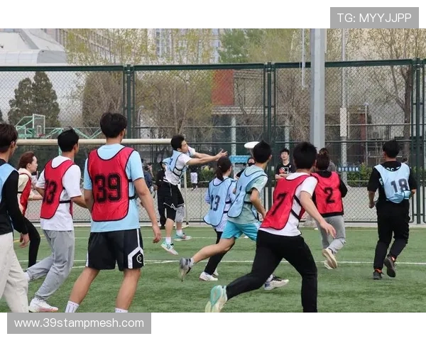 杭州飞盘队灵活性分析揭示战术优势与团队协作能力